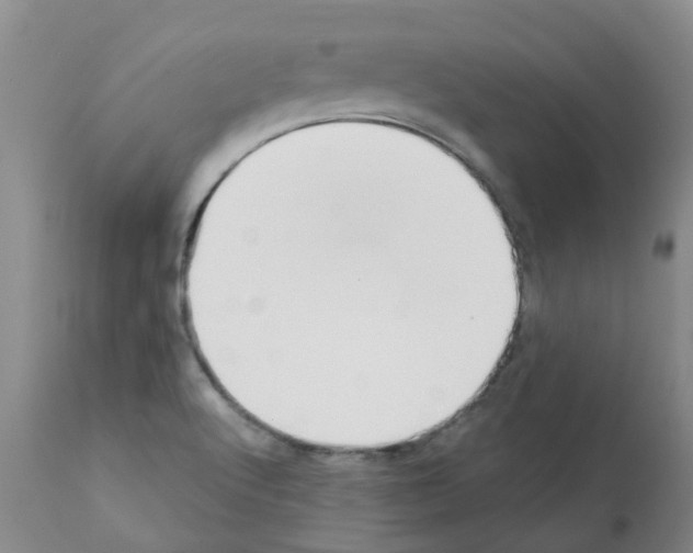 X0000112101512200909151147