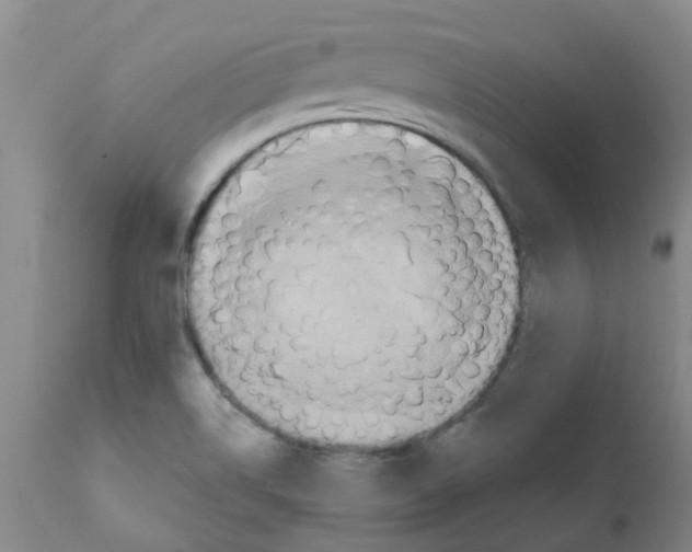 X0000112101514200909151147