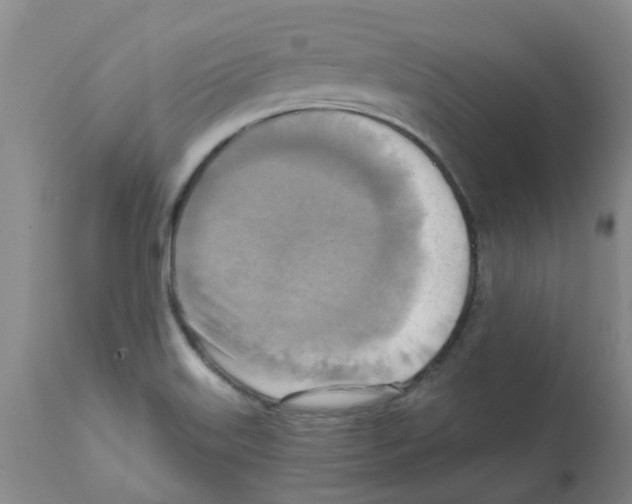 X0000112101515200909151147