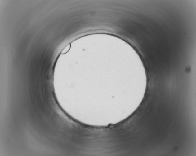 X0000112101516200909151147