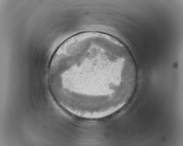 X0000112101517200909151147