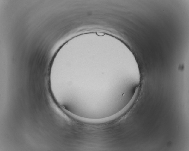 X0000112101518200909151147