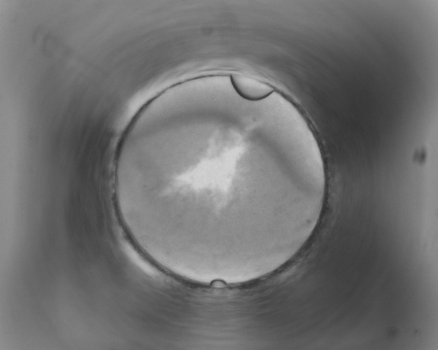 X0000112101519200909151147