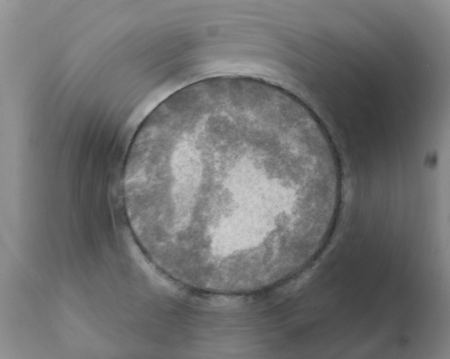 X0000112101521200909151147