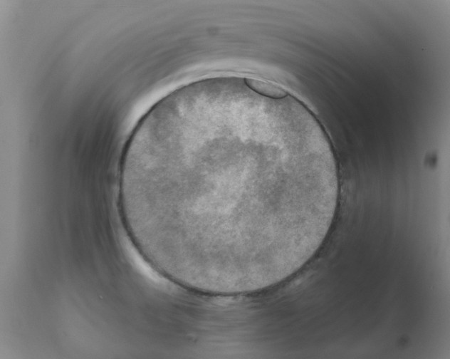X0000112101523200909151147