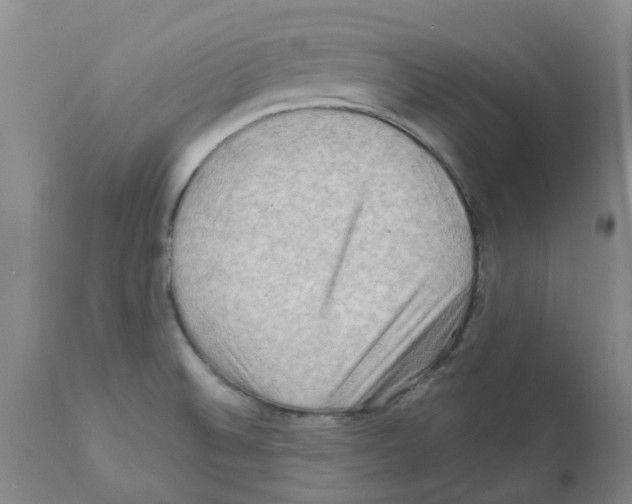 X0000112101524200909151147