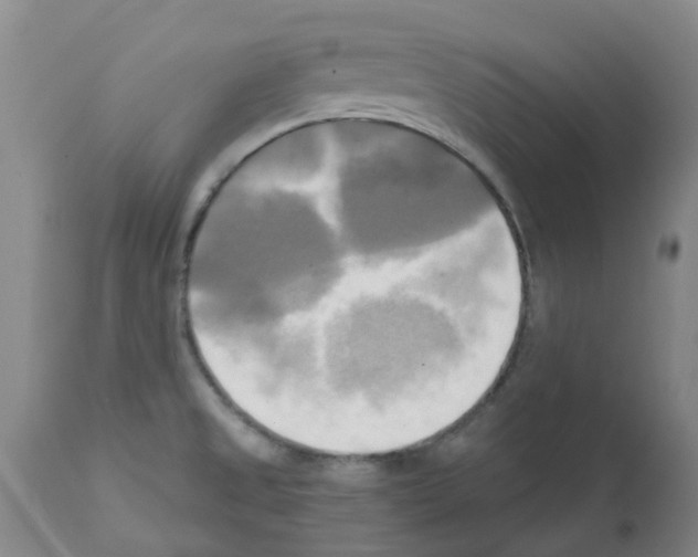 X0000112101525200909151147
