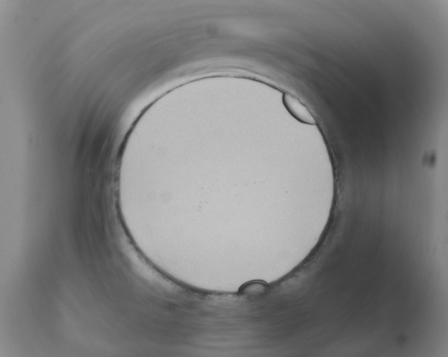 X0000112101526200909151148