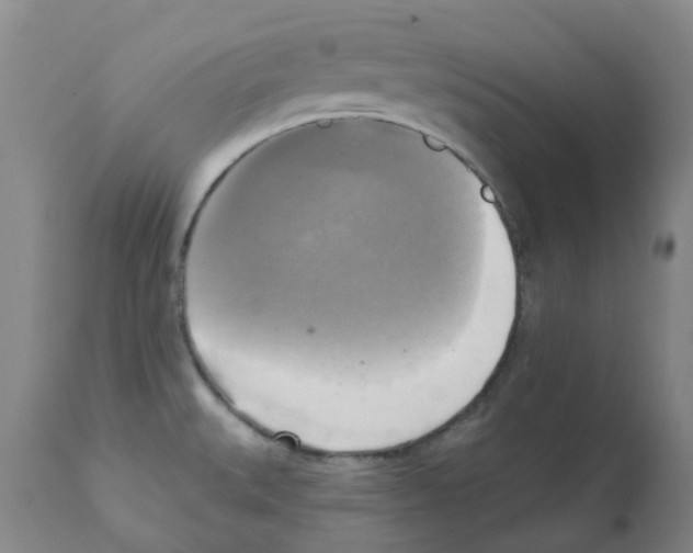 X0000112101527200909151148