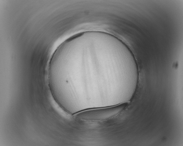 X0000112101528200909151148