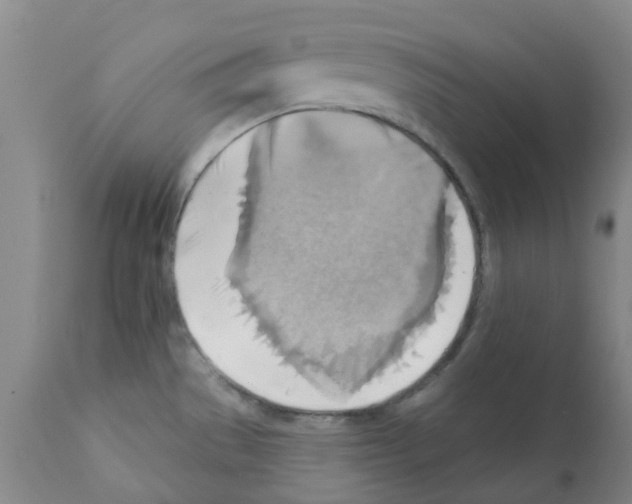 X0000112101529200909151148