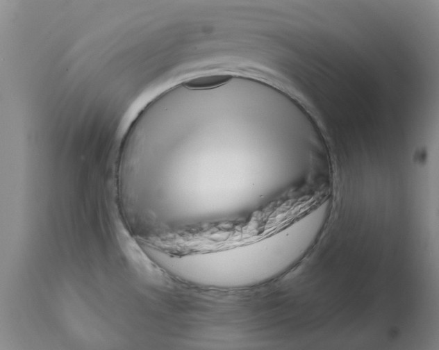 X0000112101530200909151148