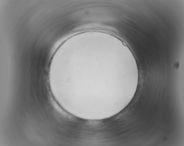 X0000112101531200909151148