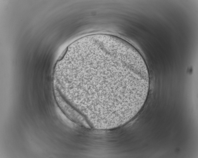 X0000112101532200909151148