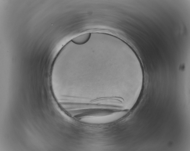 X0000112101533200909151148