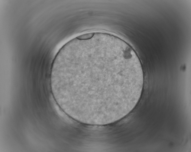 X0000112101534200909151148