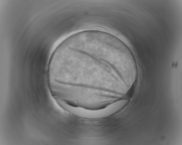 X0000112101536200909151148