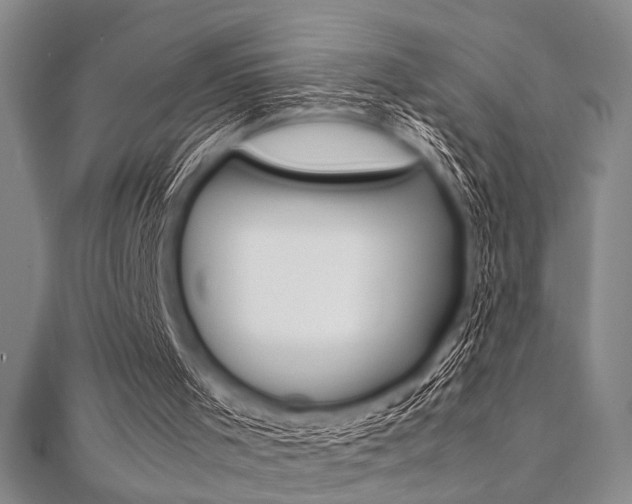 X0000112110001200908041201