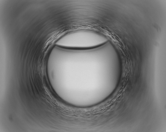 X0000112110002200908041201