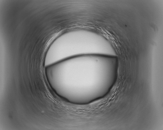 X0000112110003200908041201