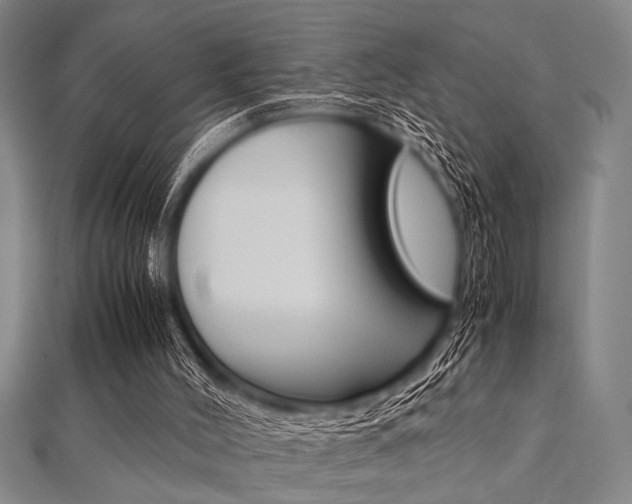 X0000112110004200908041201