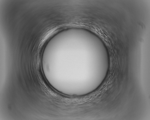 X0000112110005200908041201