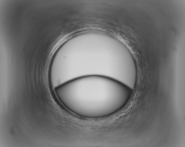 X0000112110007200908041201