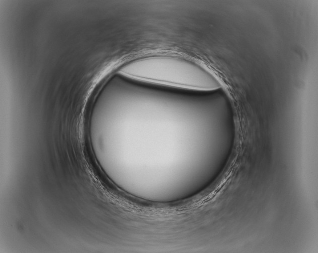 X0000112110008200908041201