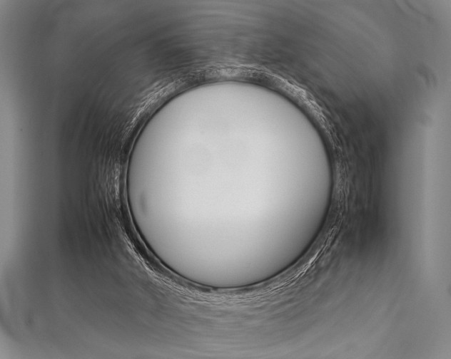 X0000112110010200908041201