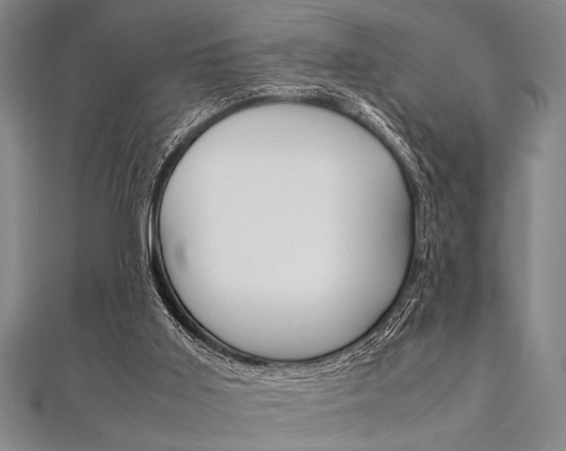 X0000112110011200908041201