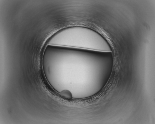 X0000112110012200908041201