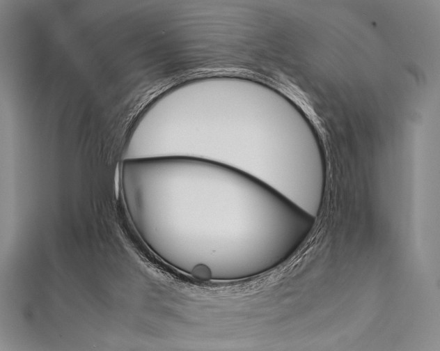 X0000112110013200908041201