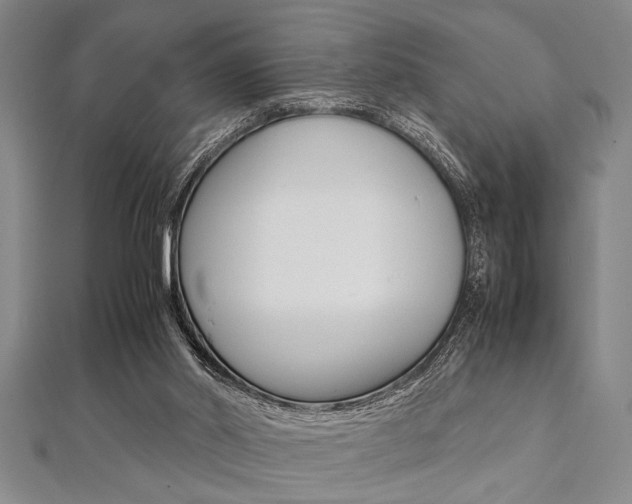 X0000112110014200908041201