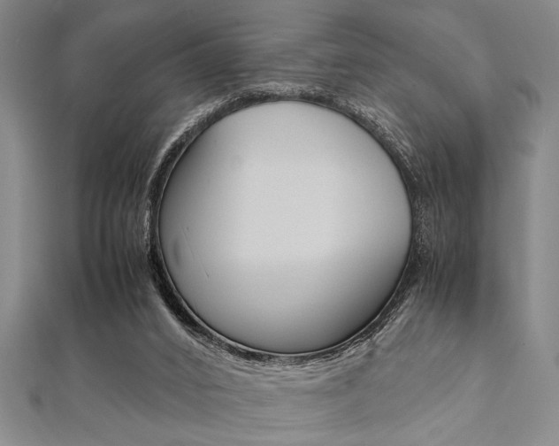 X0000112110016200908041201
