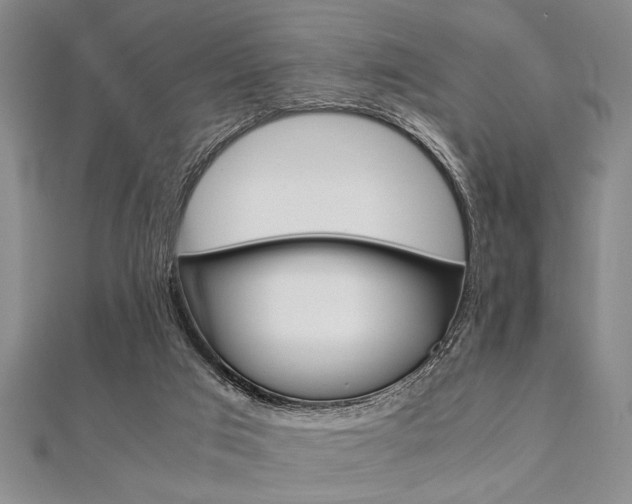 X0000112110017200908041201
