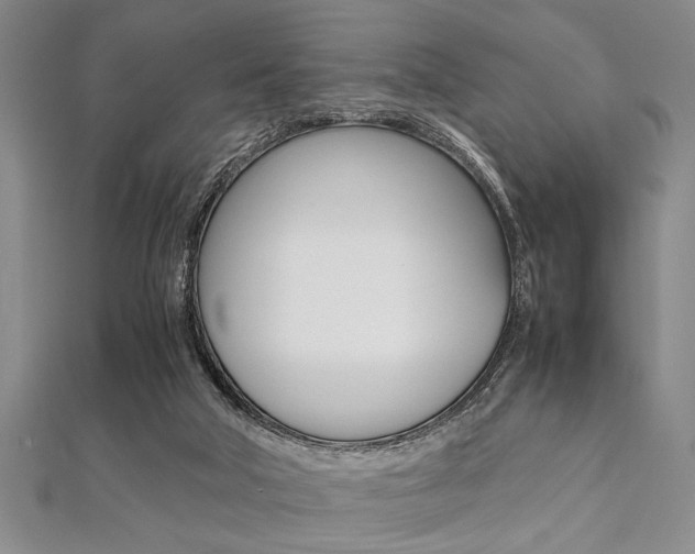 X0000112110018200908041201