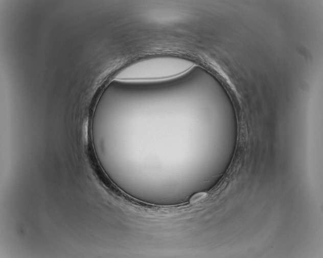 X0000112110019200908041201