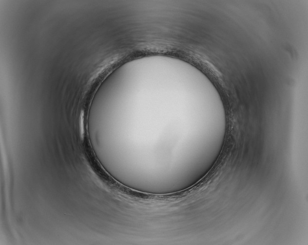 X0000112110020200908041201
