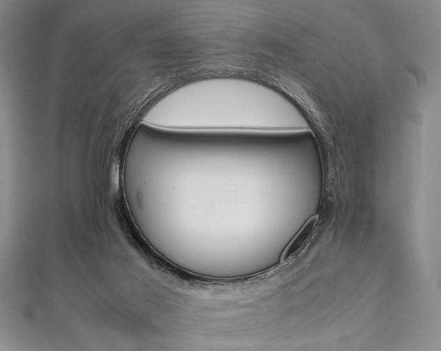 X0000112110021200908041201