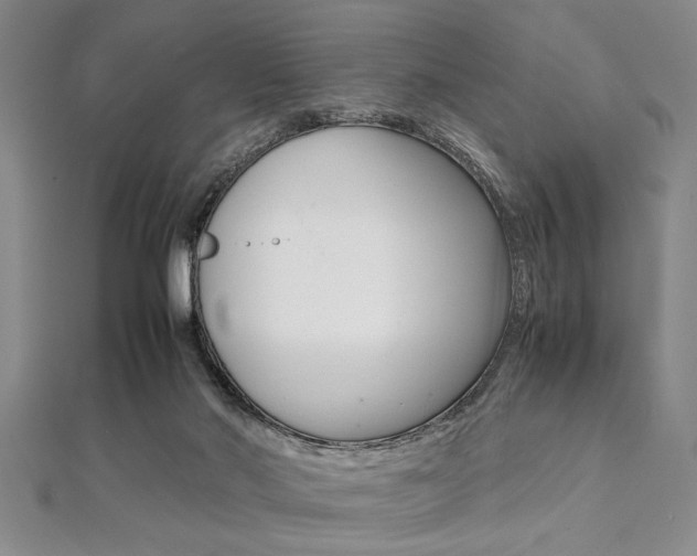 X0000112110022200908041201