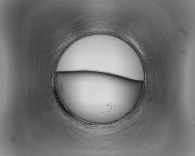 X0000112110023200908041201