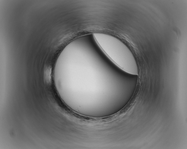 X0000112110024200908041201