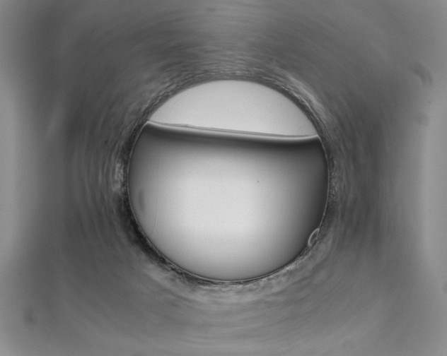 X0000112110025200908041201