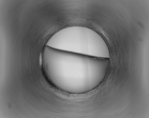 X0000112110027200908041201