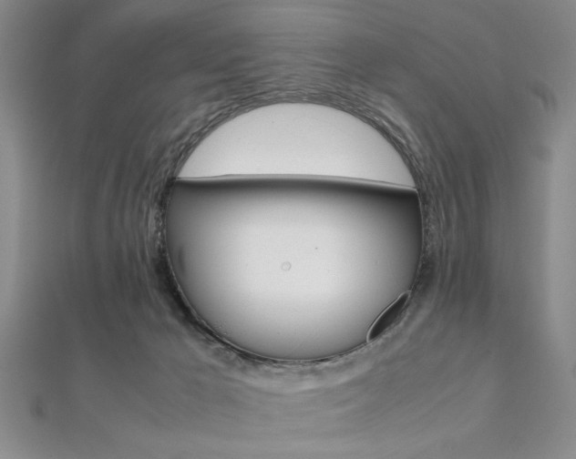 X0000112110029200908041201