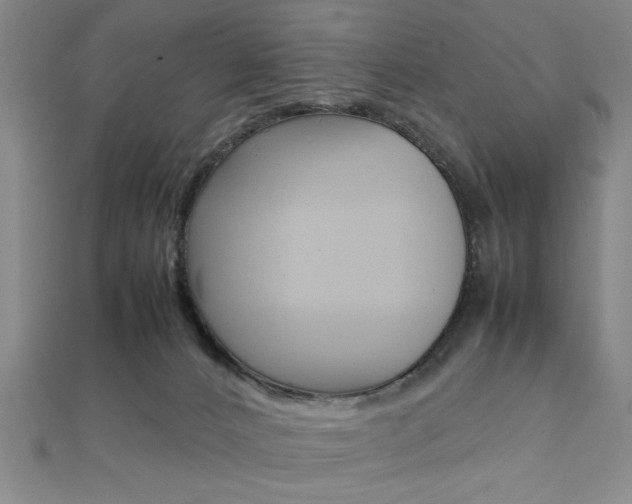 X0000112110032200908041200