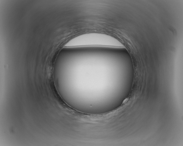 X0000112110033200908041200