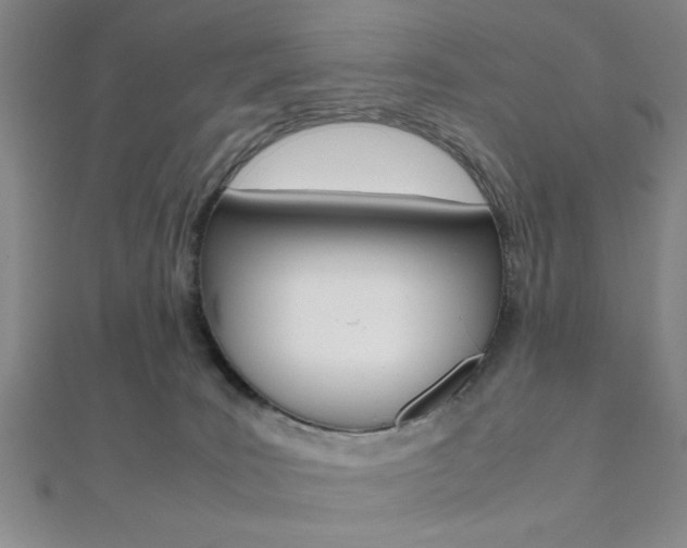 X0000112110035200908041200