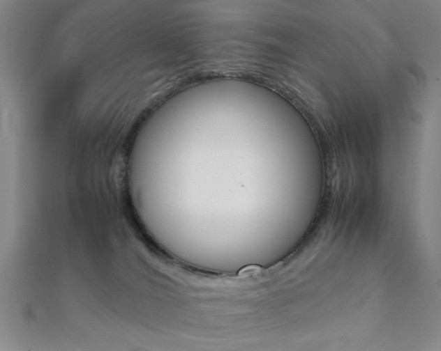 X0000112110036200908041200