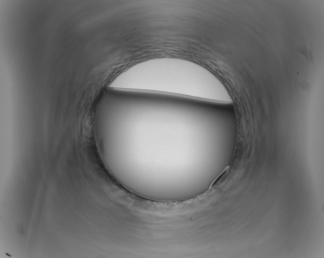 X0000112110037200908041200